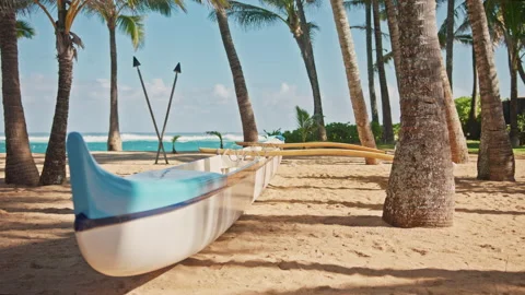 Ideal summer vacation background 4K, Hawaiian canoe on ocean beach, palm trees Stock Footage 157165794