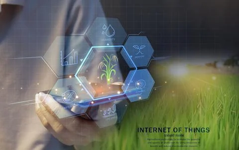 Ideas for using AI and smart farming Productivity increase and production c.. Stock Photos