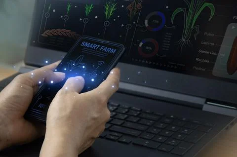 Ideas for using AI and smart farming Productivity increase and production c.. Stock Photos