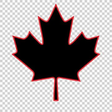 Identical Black Maple Leaf Silhouette white nature and 库存插图
