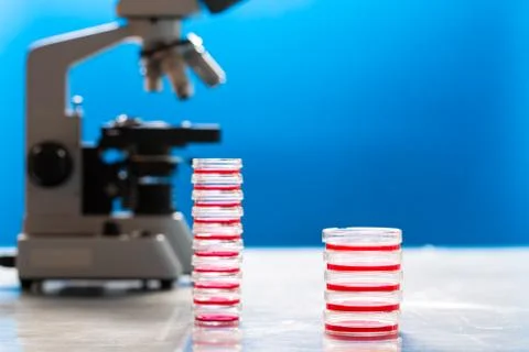 Identification of pathogenic microbes and viruses Foto stock