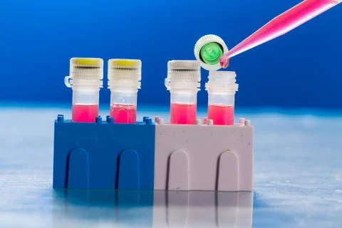 Identification of pathogenic microbes and viruses Foto stock