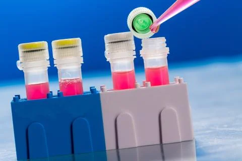 Identification of pathogenic microbes and viruses Foto stock