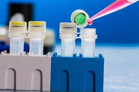 Identification of pathogenic microbes and viruses Foto stock