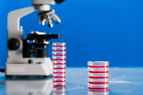 Identification of pathogenic microbes and viruses Foto stock