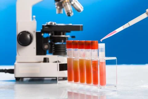 Identification of pathogenic microbes and viruses Foto stock