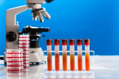 Identification of pathogenic microbes and viruses Foto stock