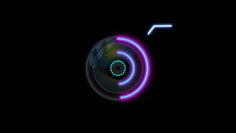 Identification by the retina of the eye. Animation. Stock Footage 150232298