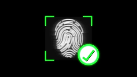 Identification security protection animation displays green check marks. Se.. Stock Footage 341129981