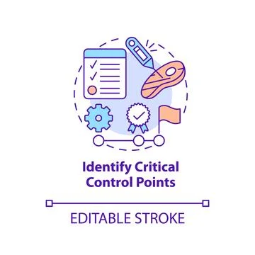 Identify critical control points concept icon Stock Illustration