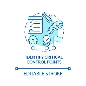 Identify critical control points turquoise concept icon Stock Illustration