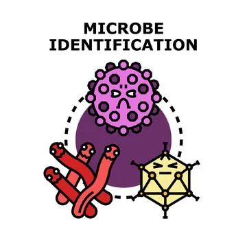 Identifying different types of microbes and pathogens concept Stock Illustration
