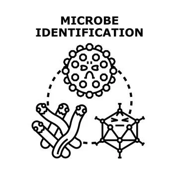 Identifying different types of microbes and pathogens concept Stock Illustration