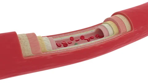 Identifying multiple deadly virus cells particles infecting the blood flow Stock Footage 257911686