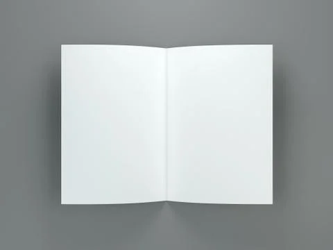 Identity, corporate, style, set of booklets, blank folding paper flyer. 3D 스톡 일러스트