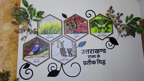 The Identity of Dev Bhoomi: Uttarakhand Logo Insights Stock Footage 313564659