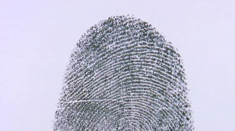 Identity. Finger print close up. Stock Footage 320166