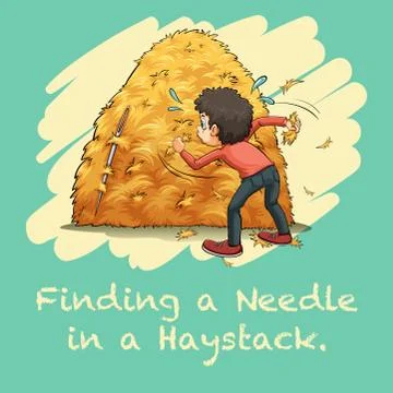 Idiom finding a needle in a haystack Stock Illustration