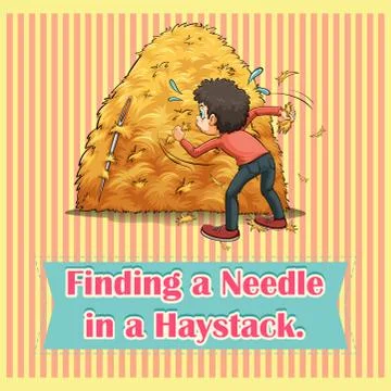 Idiom finding a needle in a haystack Stock Illustration