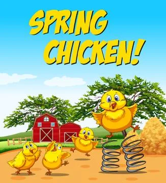 Idiom poster for spring chicken Stock Illustration