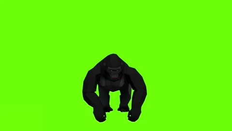 Idle Gorilla - 4K - 60 fps Stock-Footage 241136675