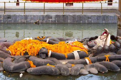 Idol of Lord Vishnu Stock Photos