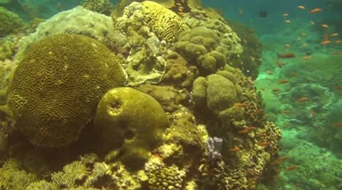 IDUW195 Stock Footage 10738035