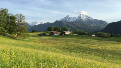 Idyllic alpine scenery with blooming meadows and mountain peaks in the Alps Stock Footage 84984322