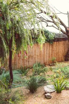 Idyllic backyard with Australian native plants and trees Stock Photos