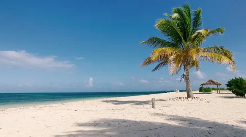 Idyllic beach at Caribbean Stock Footage 66286885