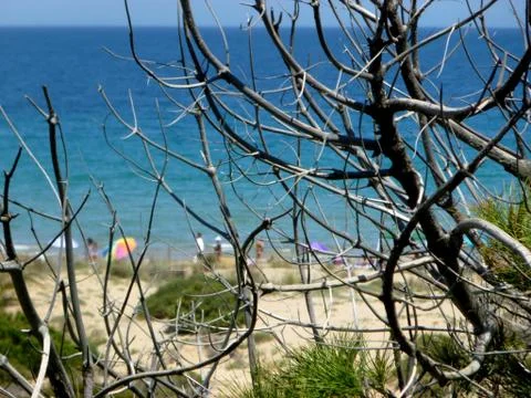 Idyllic beach surrounded by nature Stock Photos