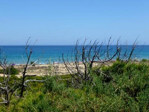 Idyllic beach surrounded by nature Stock Photos