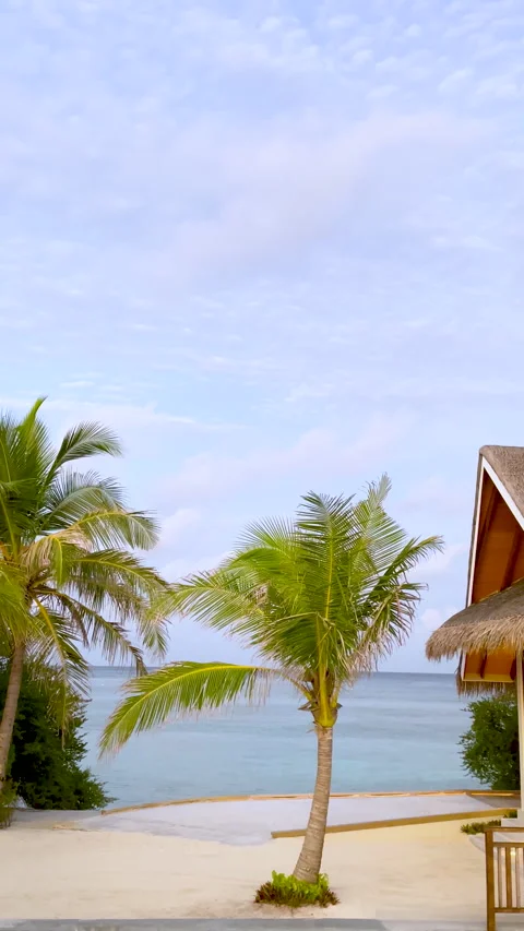 Idyllic Beach with Swaying Palm Tree on the Shores of the Maldives Stock Footage 286040845
