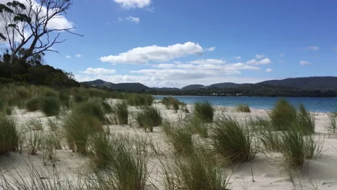 Idyllic, deserted beach Stock Footage 159318116