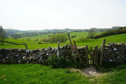 Idyllic Dry Stone Wall, Rustic Wooden Gate In Green Hills, Youlgrave, The Peak Stock Photos