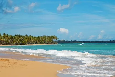 Idyllic empty sand beach, ocean and palm trees. Stock Photos