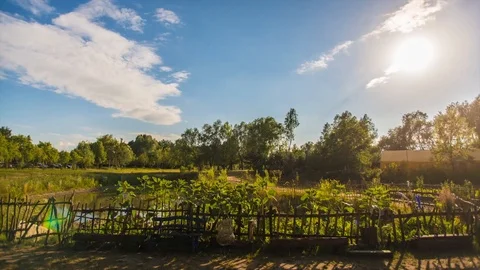 Idyllic farmland setting Stock Footage 93781870