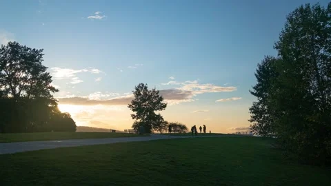 Idyllic field on a summer evening Stock Footage 237714827