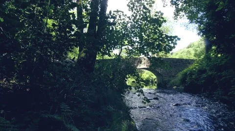 Idyllic foot bridge over river Stock Footage 65062477