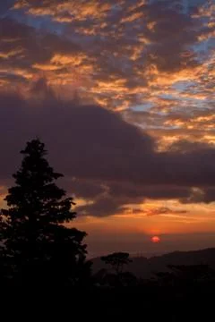 Idyllic Forest Sunset Stock-Fotos