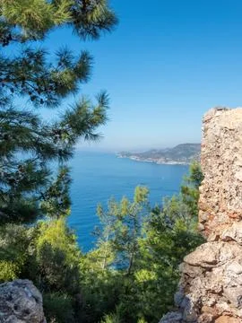 An idyllic high-angle perspective view of the sea, framed by pine trees and.. Stock Photos