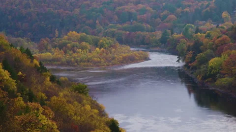 Idyllic island nestled between branches of Delaware River, vibrant fall colors Stock Footage 142090192