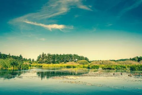 Idyllic lake scenery in daylight Stock Photos