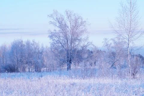 Idyllic landscape of fields and forests in the distance Stock Photos