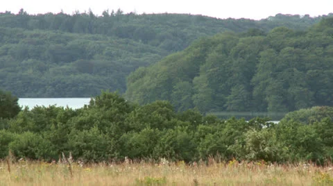 Idyllic landscape. Stock Footage 22537814