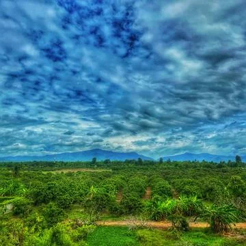 Idyllic landscape with fresh green meadows Stock Photos