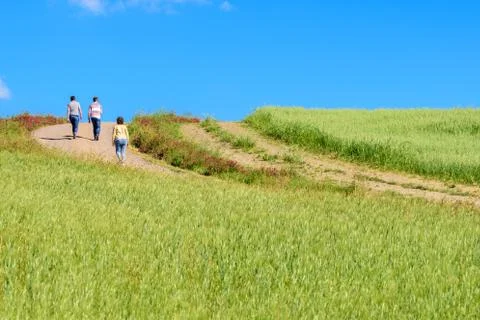 Idyllic landscape Stock Photos