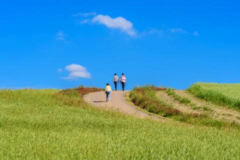 Idyllic landscape Stock Photos