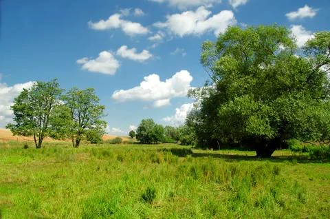 Idyllic landscape Stock Photos