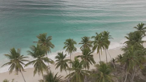 Idyllic Mandel Beach Remote Island Seascape in Indonesia I D Log M LOG Format Stock Footage 317393702
